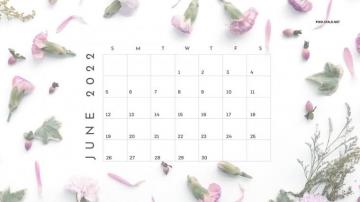 June Calendar Wallpaper HD Net