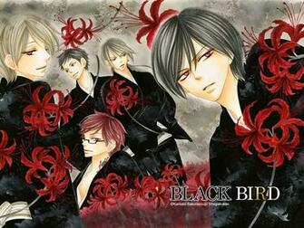 Black Bird Manga