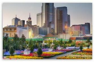 Downtown Dallas From The Flower Market HD Wallpaper For Standard