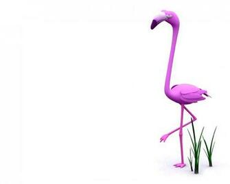 Flamingo 3d Pictures On The Desktop And Wallpaper
