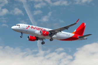 Avianca Airbus A320 License Or Print For