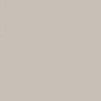 Savage Seamless Background Paper X 12yds 12studio Gray