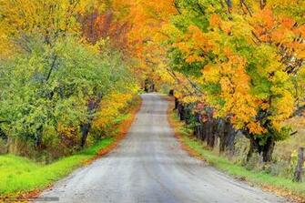Wallpaper Autumn Usa Mountains Alaska Alaskan Tundra In Picture