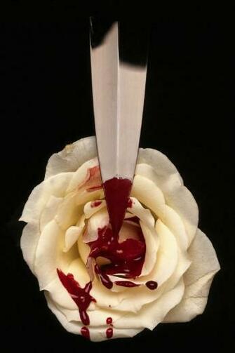 Bloody Rose iPhone HD Wallpaper