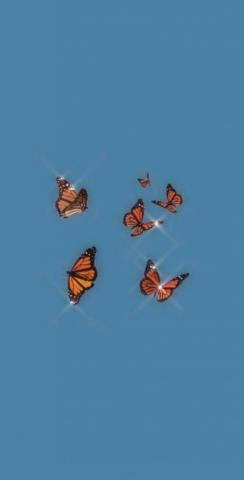 Blue Aesthetic Blueaesthetic In Butterfly Wallpaper iPhone