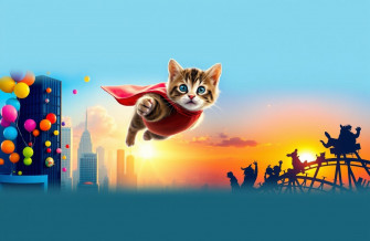 Funny Dual Screen Wallpaper