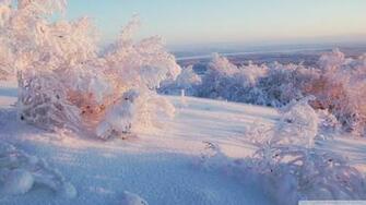 Light Wallpaper Wallpoper Morning Winter