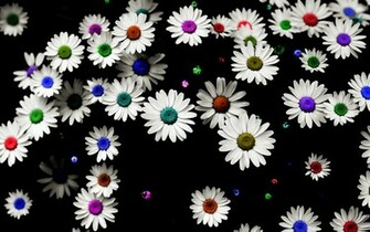 Daisy Background Quotes