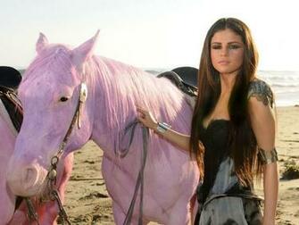 Selena Gomez With Pink Horse Hq Wallpaper
