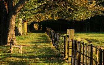 Sunny Day In Nature At The Farm Wallpaper HD Database