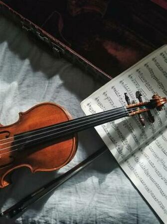 Violin Pictures Image