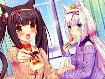 Anime Neko Para Wallpaper And Image Pictures Photos