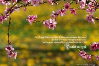 Spring08