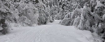Running Outside In The Winter Ski Utah