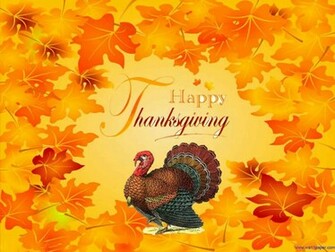 Funny Stuff About Animals Nature Happy Thanksgiving Turkey Wallpaper