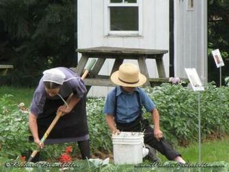 Amish Life Desktop Background Wanda Brunstetter