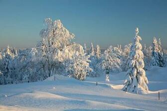 Beautiful Snow Scenes