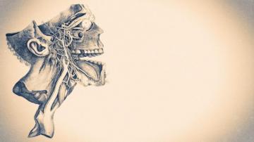 Medicine Skull Artwork Minimalism Wallpaper HD