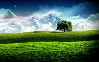 Landscapes
