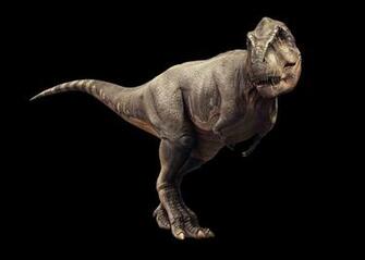Rex Wallpaper