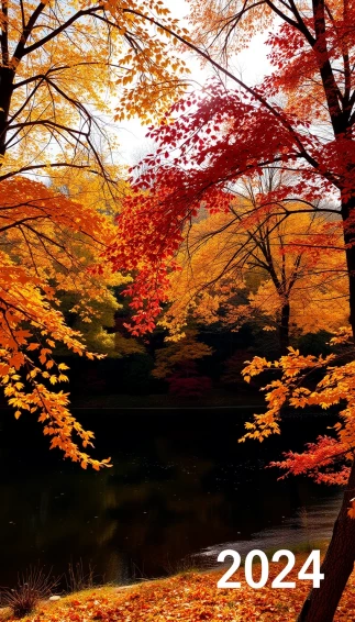 Autumn Wallpaper