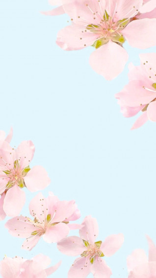 Best HD Wallpaper