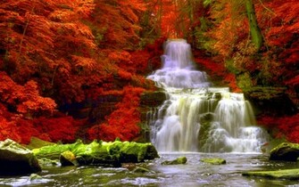 Forest Waterfalls High Quality And Resolution Wallpaper