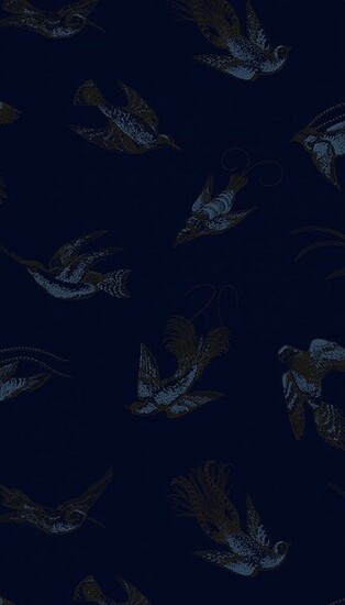Colours Metallic Blue And Black Print On A Midnight Background