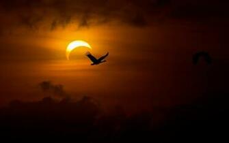 High Res Solar Eclipse Wallpaper Picture