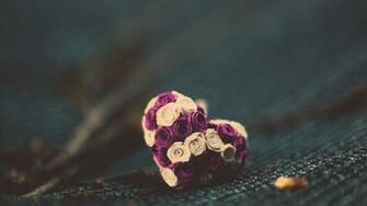 Beautiful Love Heart Wallpaper HD Pics One