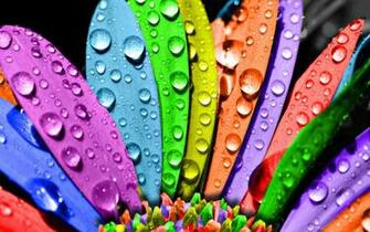 Colorful Wallpaper Best