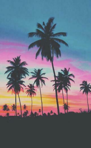 Palm Trees iPhone Wallpaper