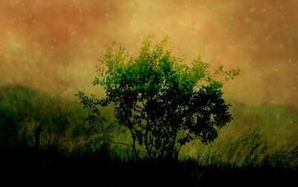 Screensavers Wallpaper For Desktop Background HD
