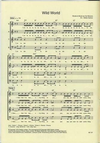 Wild World Lyrics Image Search Results