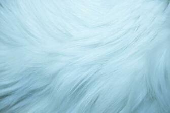 Baby Blue Fur Texture High Resolution Photo Dimensions