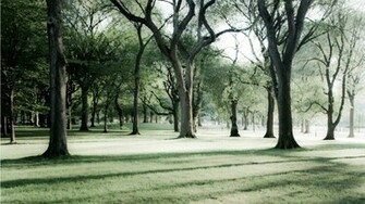Central Park Wallpaper
