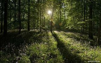 Source Url Dream Wallpaper Nature Windows
