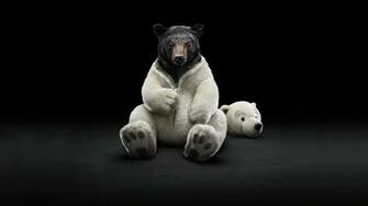 Funny HD Wallpaper 1080p Desktop Image
