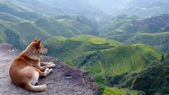 HD Wallpaper 1080p High Quality Definition Of
