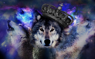 Cool Wolf Background Wallpaper
