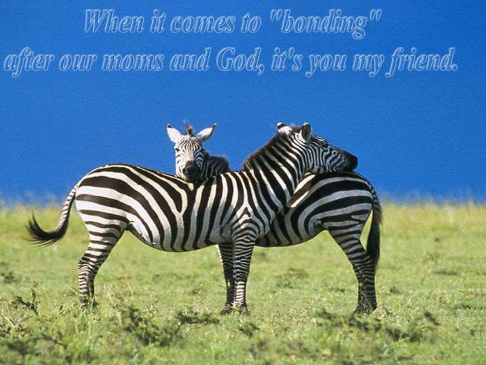 Free download Image Cute Friendship Quote Wallpaper Friendship Quotes