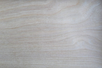 Neutral Colors Wallpaper
