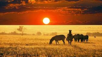 Africa 4k Wallpaper Top Background