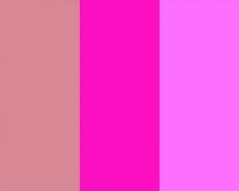 Blush Shocking Pink And Crayola Three Color Background
