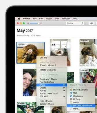 Change The Desktop Picture Background On Your Mac Apple Support