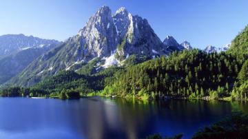 Beautiful Mountain Lake And Green Forest HD Wallpaper