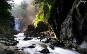 Forest Waterfall Wallpaper