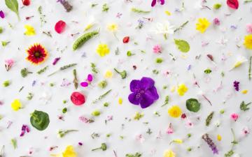 Chic Desktop Wallpaper