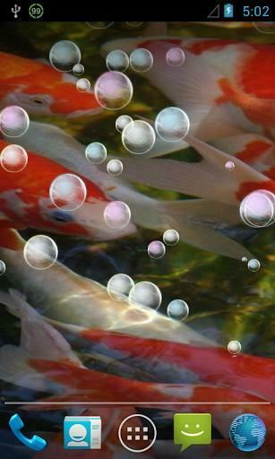 Bigger Koi Live Wallpaper For Android Screenshot