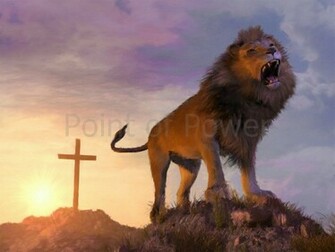 Gallery For Lion Of Judah Wallpaper